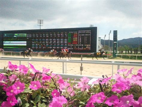 Busan Racecourse Park .